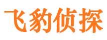 九龙侦探公司